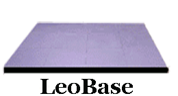 LeoBase Cutout